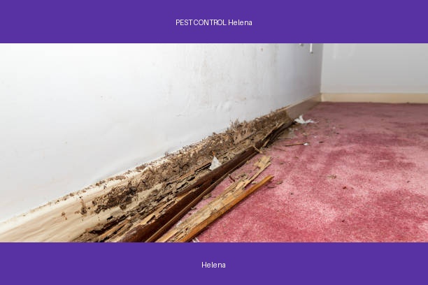 PEST CONTROL Helena